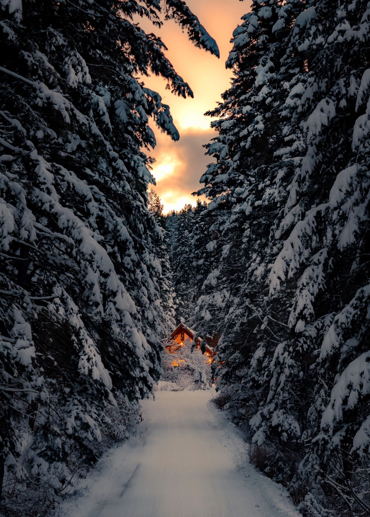 MISSION ST. Cabin Snow.JPG